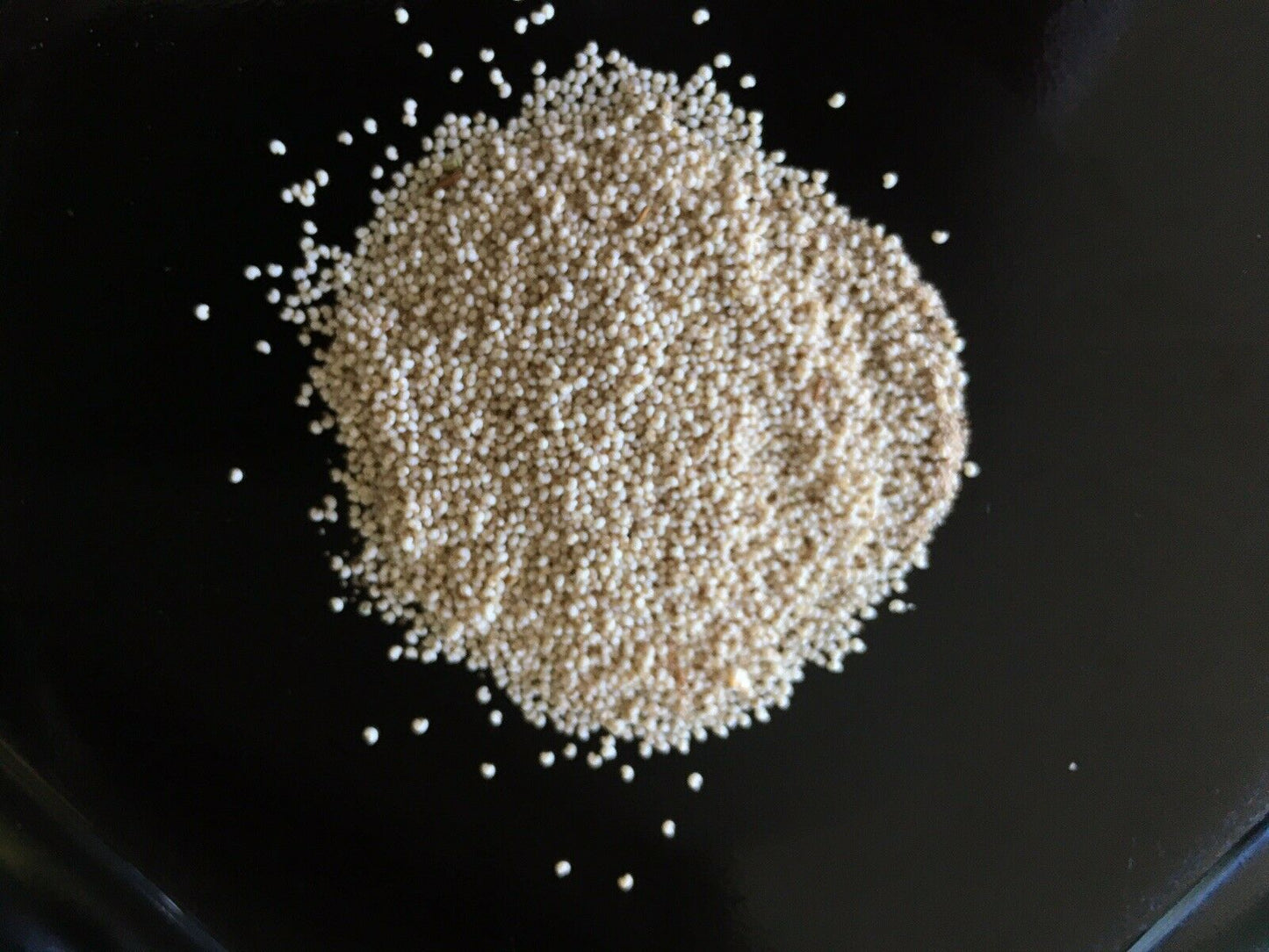 OG Izmir Afghan Pink Special (Galania) Poppy (500+ seeds)